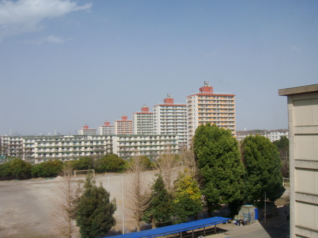d0126508_222425.jpg