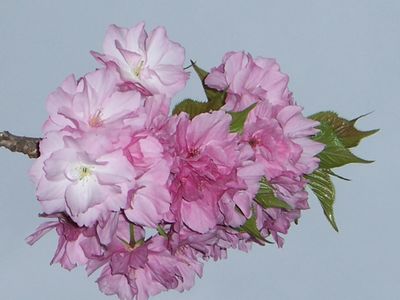 f0231309_17384518.jpg
