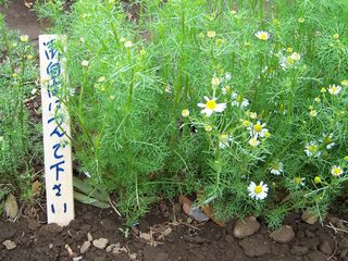 f0231309_18335764.jpg