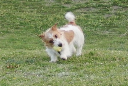e0078510_22384170.jpg