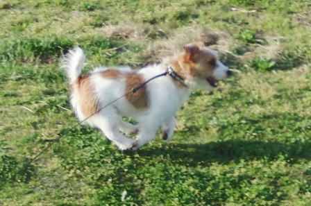 e0078510_22393297.jpg