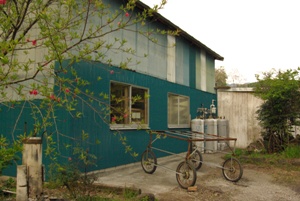 e0163212_23563232.jpg