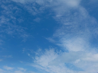 b0073616_20424045.jpg