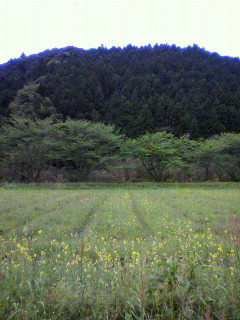 f0036223_14474738.jpg