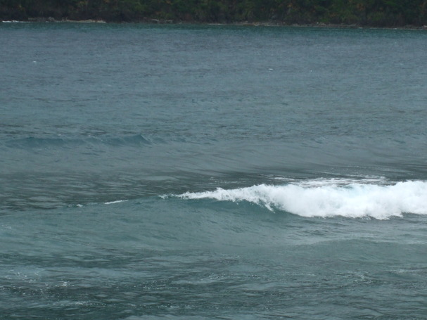 c0160825_165391.jpg