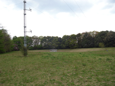 b0117832_15143611.jpg