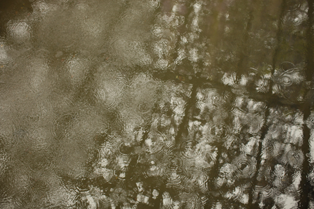 a0097735_538088.jpg