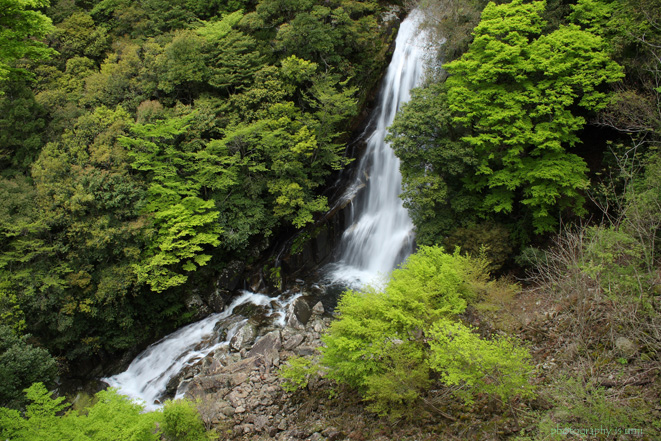 e0083238_22514179.jpg