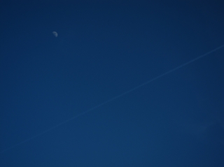 c0180339_055618.jpg