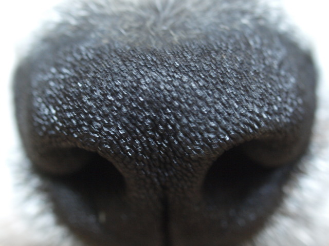 c0072843_3102832.jpg