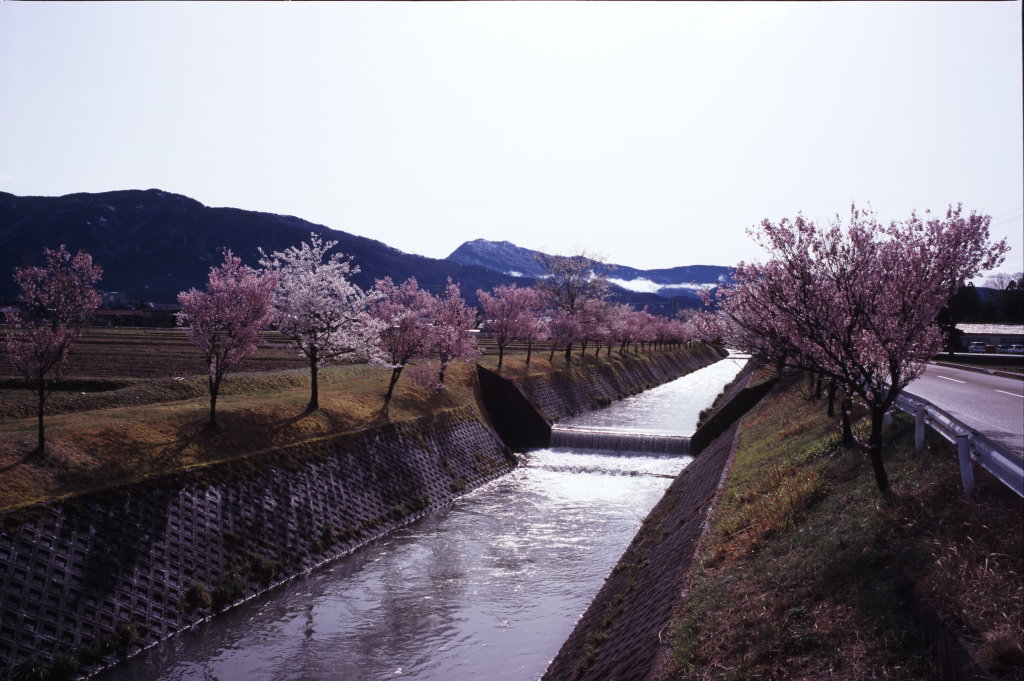c0066245_014261.jpg