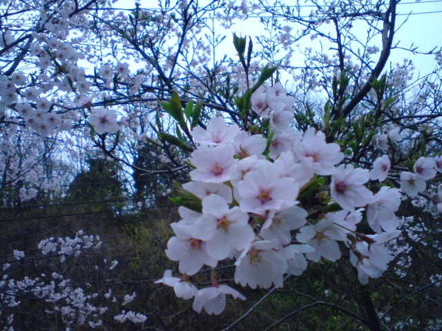 c0104445_21353811.jpg