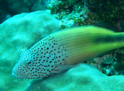 d0065247_1859131.jpg