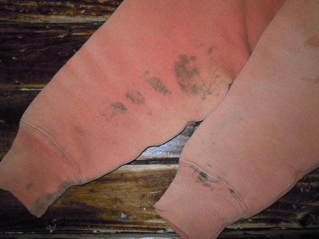 e0131557_0344098.jpg