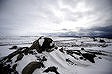b0086362_21361832.jpg