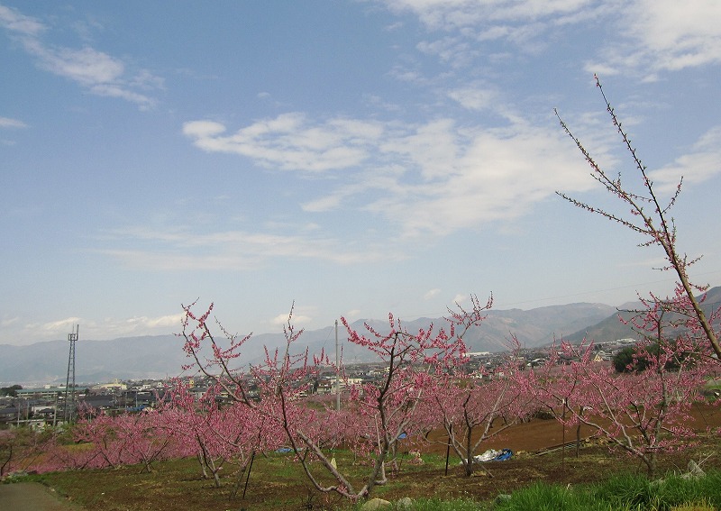 a0104569_14295182.jpg