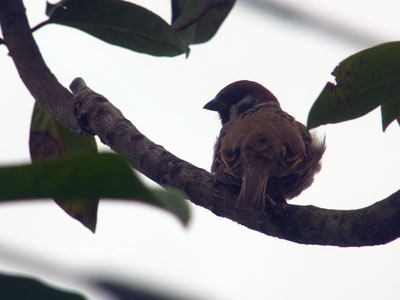 f0086169_2244763.jpg