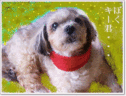 f0213476_2202998.gif