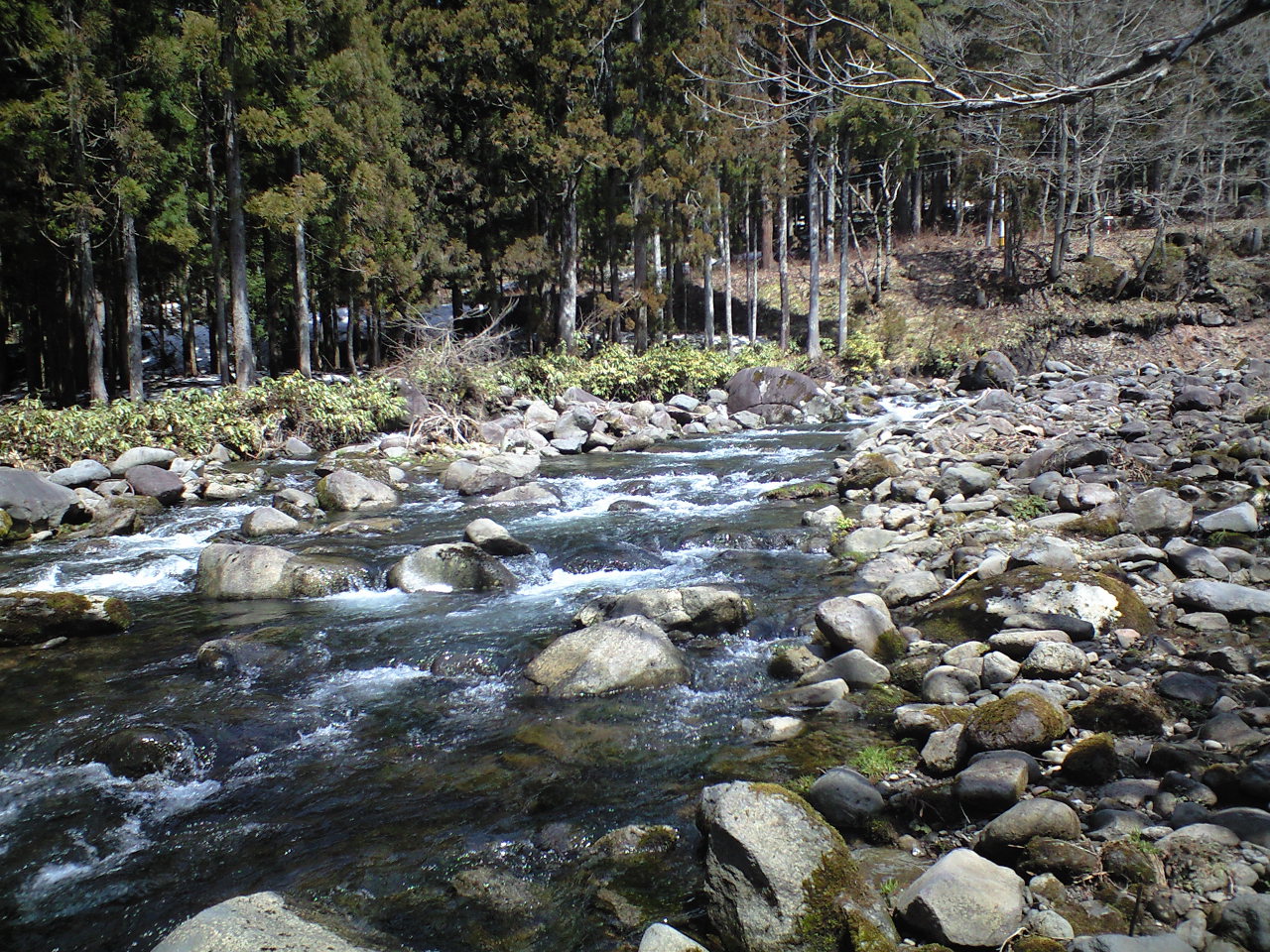 a0093677_1947198.jpg