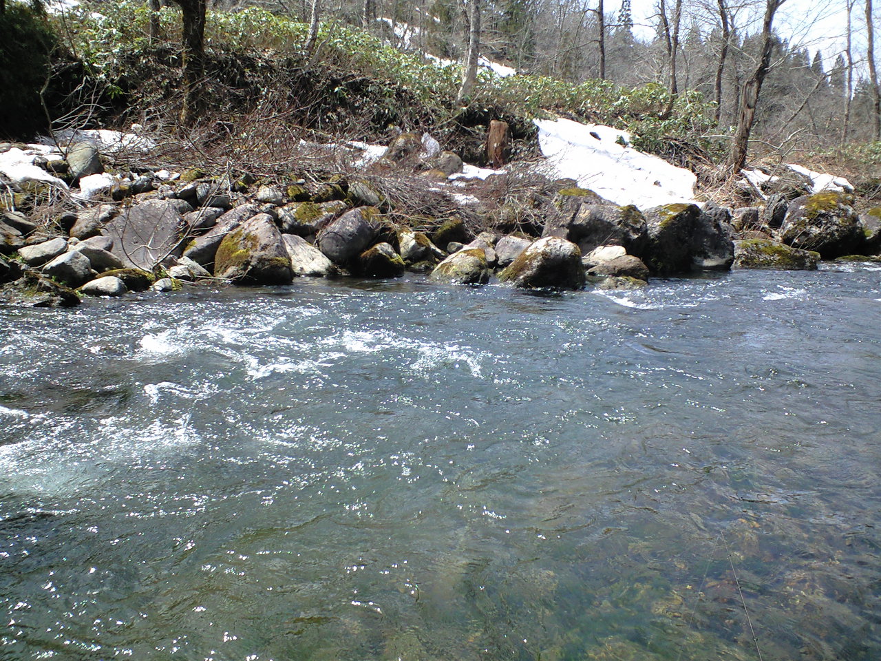 a0093677_20255189.jpg