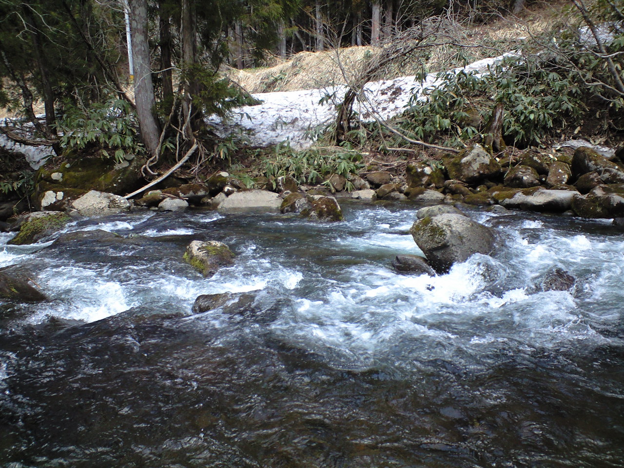 a0093677_20551024.jpg