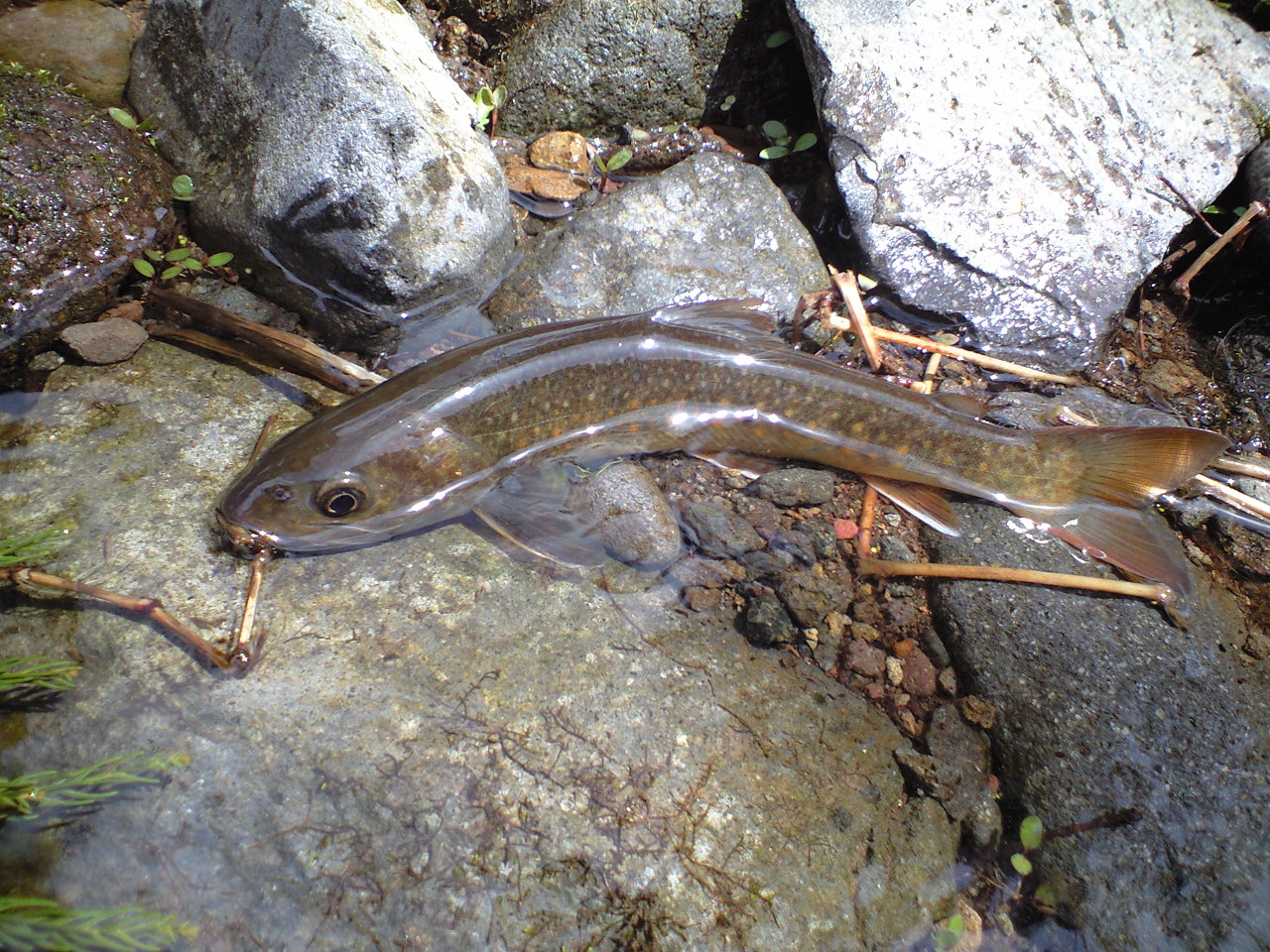 a0093677_2122535.jpg