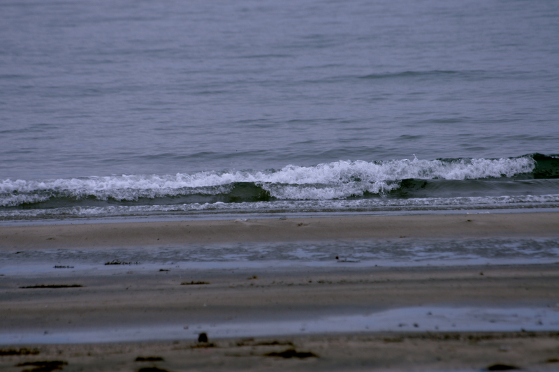 c0106977_1848540.jpg
