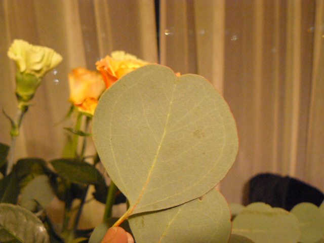 c0093179_21463413.jpg