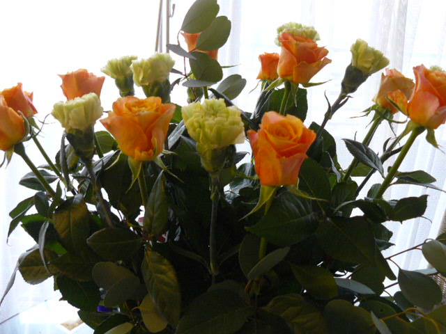 c0093179_21475290.jpg