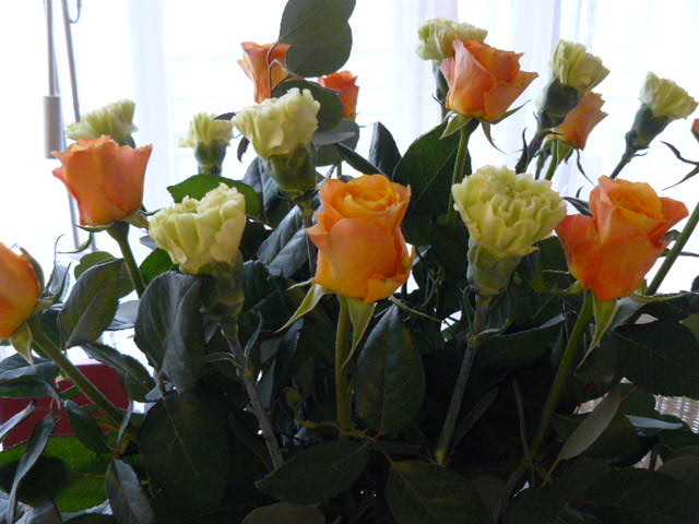 c0093179_8223186.jpg