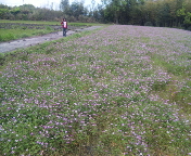 f0237680_21562688.jpg