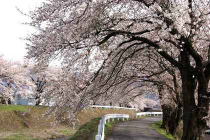 b0003483_0332426.jpg