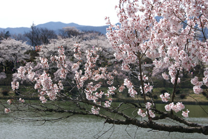 b0003483_033538.jpg