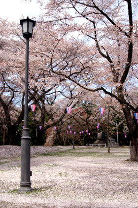b0003483_0335840.jpg