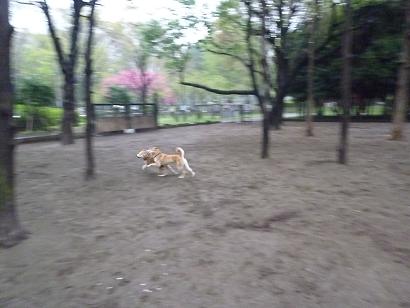 c0123890_2025939.jpg
