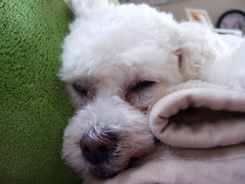 b0104592_10282160.jpg