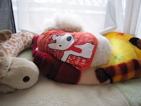 b0104592_10282773.jpg