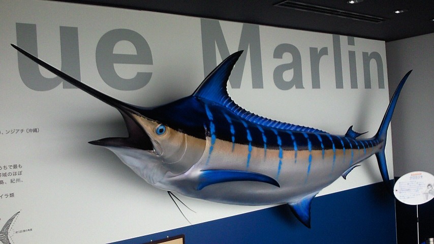 b0084893_144247100.jpg