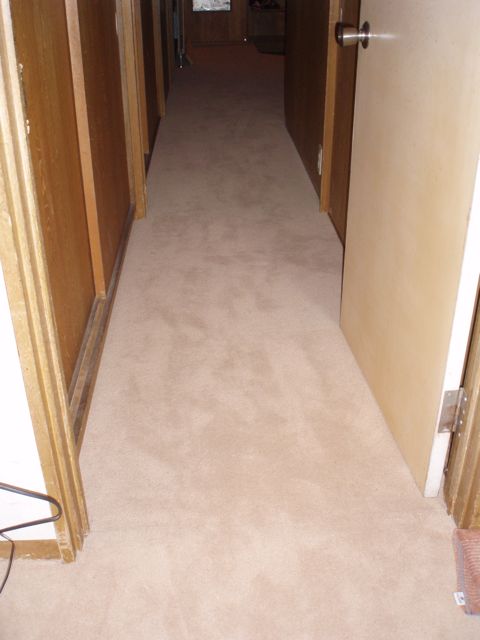 f0130894_211994.jpg