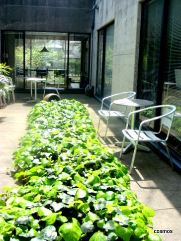 f0137694_19323223.jpg