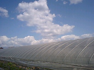 c0163102_19502878.jpg