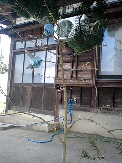 c0163102_1953169.jpg