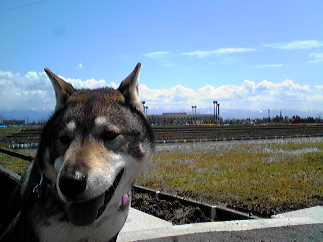 f0079202_1223322.jpg
