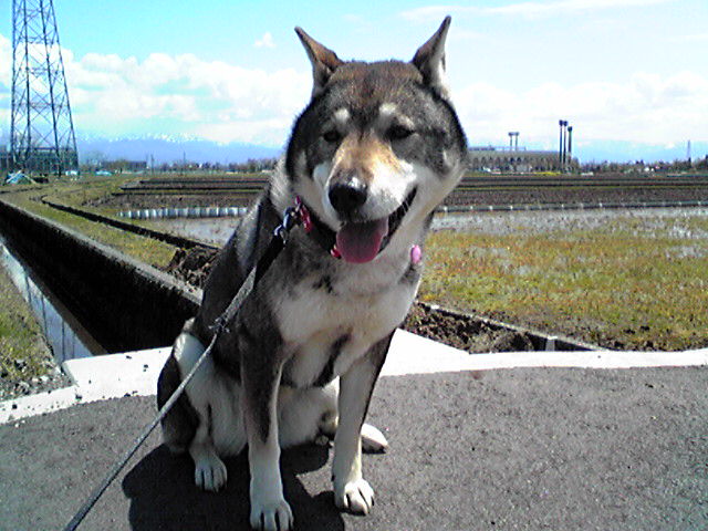 f0079202_1223387.jpg
