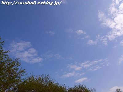 e0145805_202284.jpg