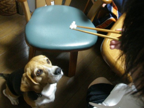 c0205806_10393358.jpg