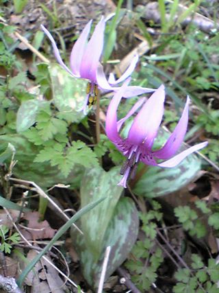 f0231309_193512.jpg