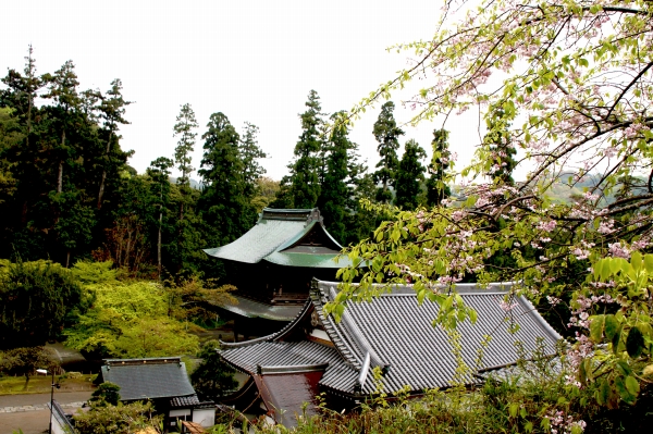 e0121110_2042194.jpg