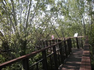 b0183911_22355166.jpg