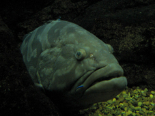 e0139312_935194.jpg